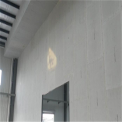 蛟河宁波ALC板|EPS加气板隔墙与混凝土整浇联接的实验研讨